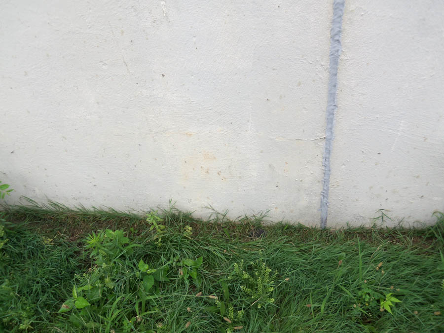 image of rodent runways
